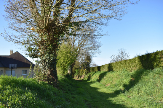 Chemin pédestre lotissement de la Minée - Cossé-le-Vivien