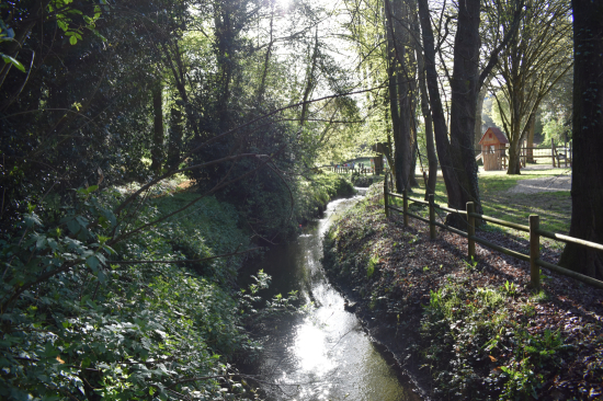 Pré de Cossé - Cossé-le-Vivien