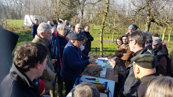 banque de greffons verger pomologique cossé-le-vivien