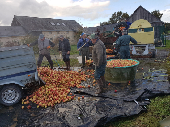 après la récolte des pommes